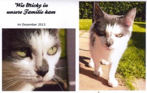 Wie Micky in unsere Familie kam (PDF, 2,2 MB)