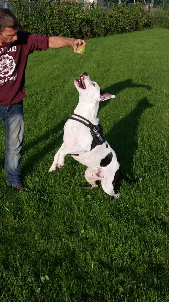 barney5 Tierschutzverein Harlingerland e.V.