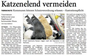 Katzenelend vermeiden