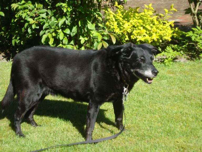 _20190522_103316 Tierschutzverein Harlingerland e.V.