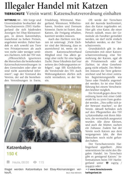 Artikel über illegale Katzenzucht
