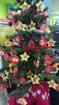 Unser Weihnachtswunschbaum im Fressnapf Wittmund