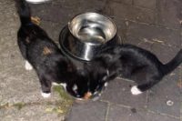 Zwei Zwerge wünschen sich liebevolle Menschen