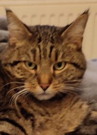 Karlo sucht ein neues Zuhause