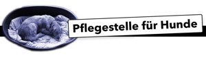 Pflegestellen für Hunde gesucht