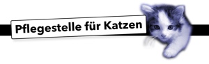 Pflegestellen für Katzen gesucht